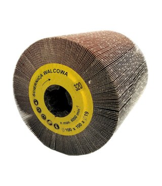 Ściernica walcowa listkowa z płótna 100x100x19mm Satyniarka