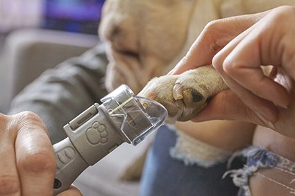 DREMEL Szlifierka do PAZURÓW PET GROOMING SET